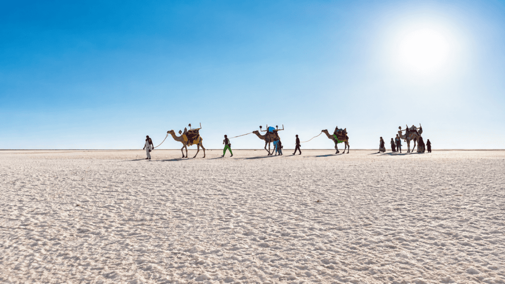 Bhuj and Kutch