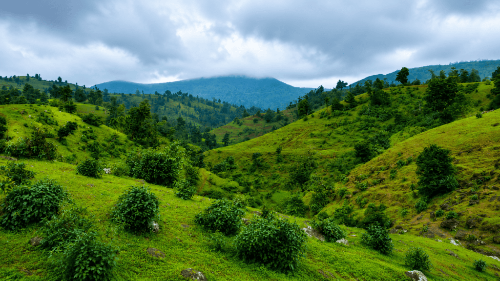 Saputara