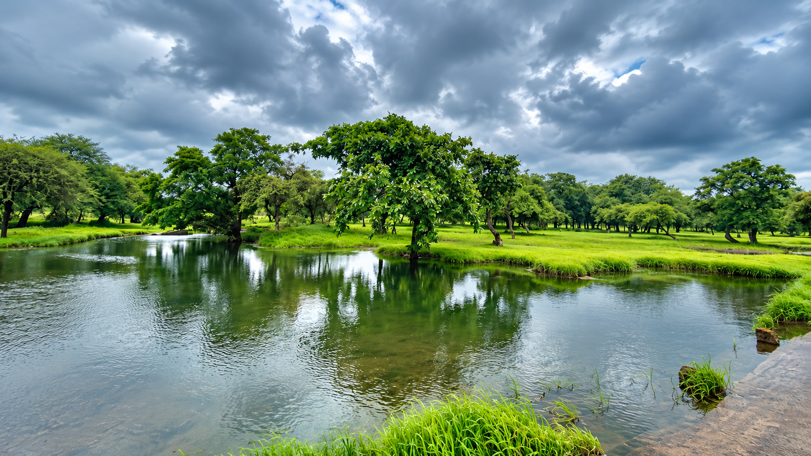 Devaliya Safari Park (the Gir Interpretation Zone)