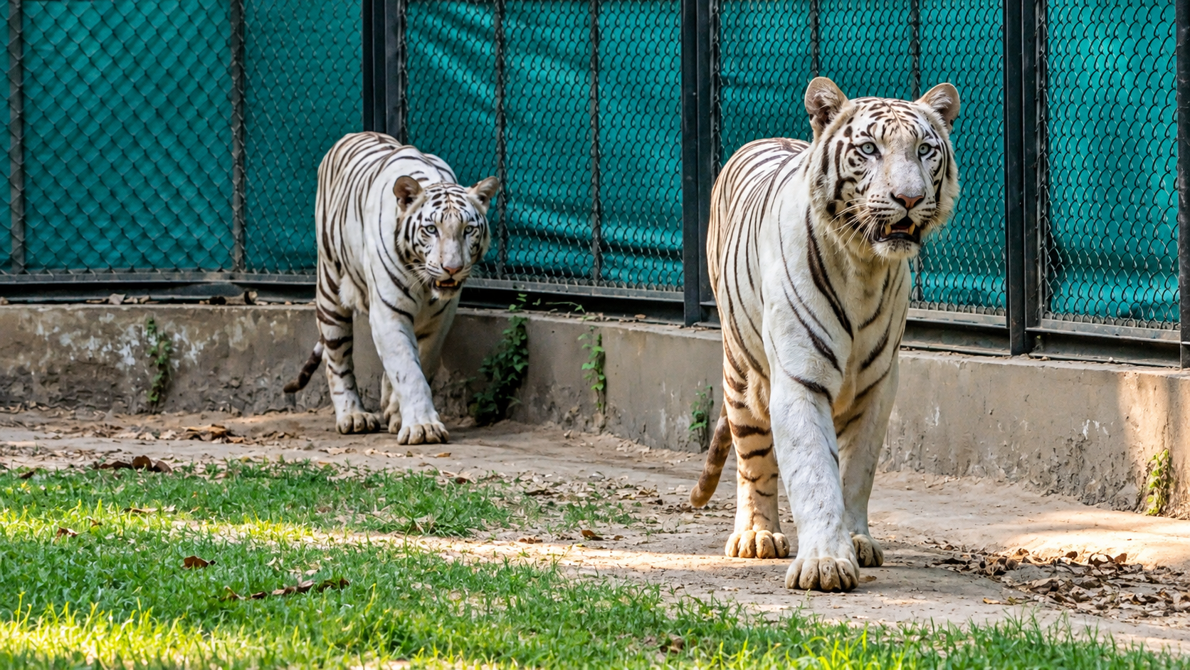 Sarthana Nature Park